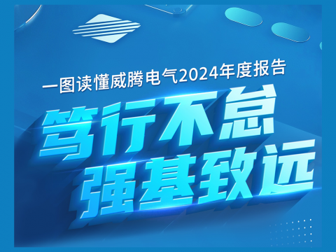 一图读懂emc易倍电气2024年度报告